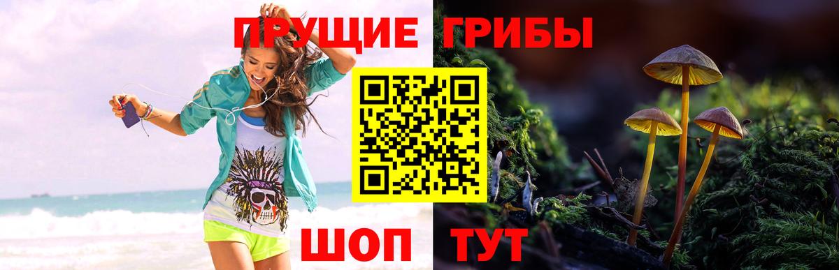 Галлюциногенные грибы прущие грибы Спасск-Дальний